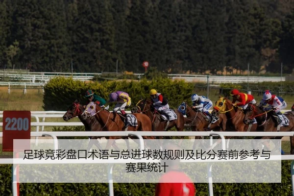 足球竞彩盘口术语与总进球数规则及比分赛前参考与赛果统计